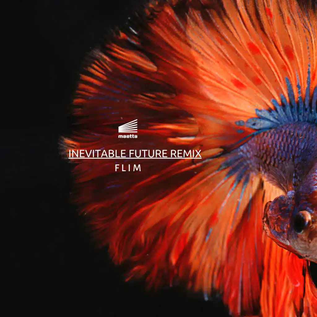 Inevitable Future (Monsieur Reve Remix)