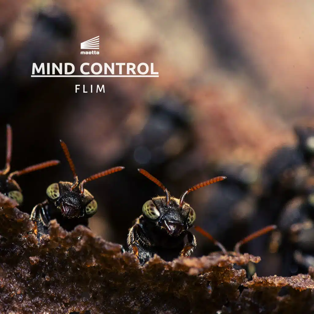 Mind Control