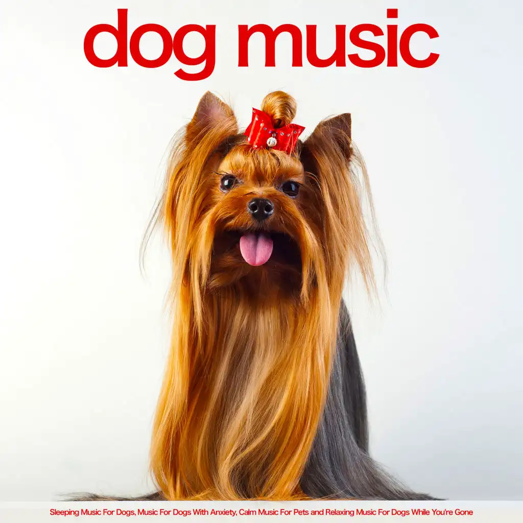 Peaceful Music for Dogs