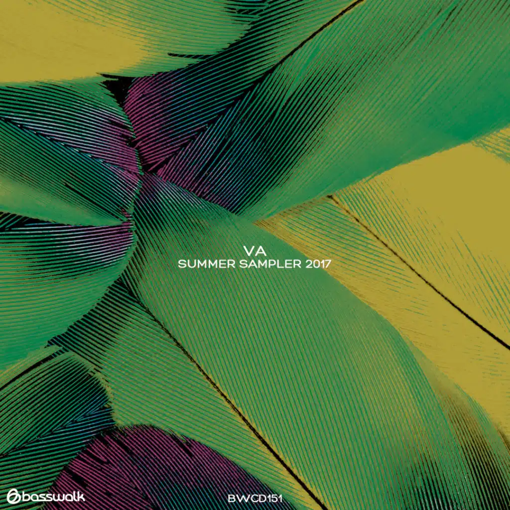 Summer Sampler 2017