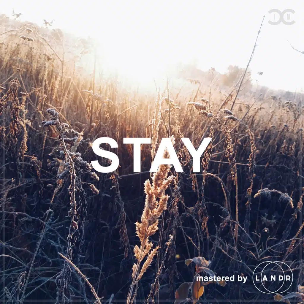 Stay