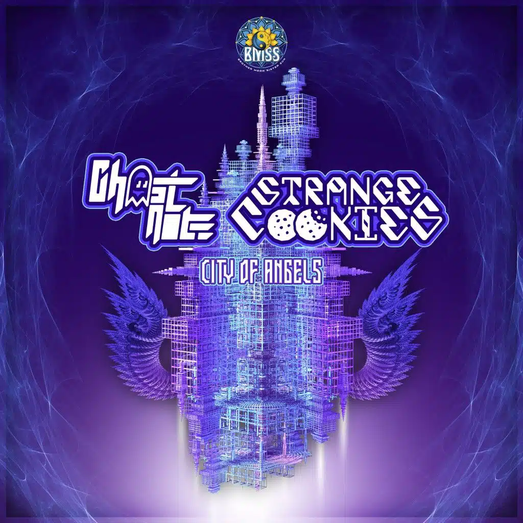 Ghost Note, Strange Cookies