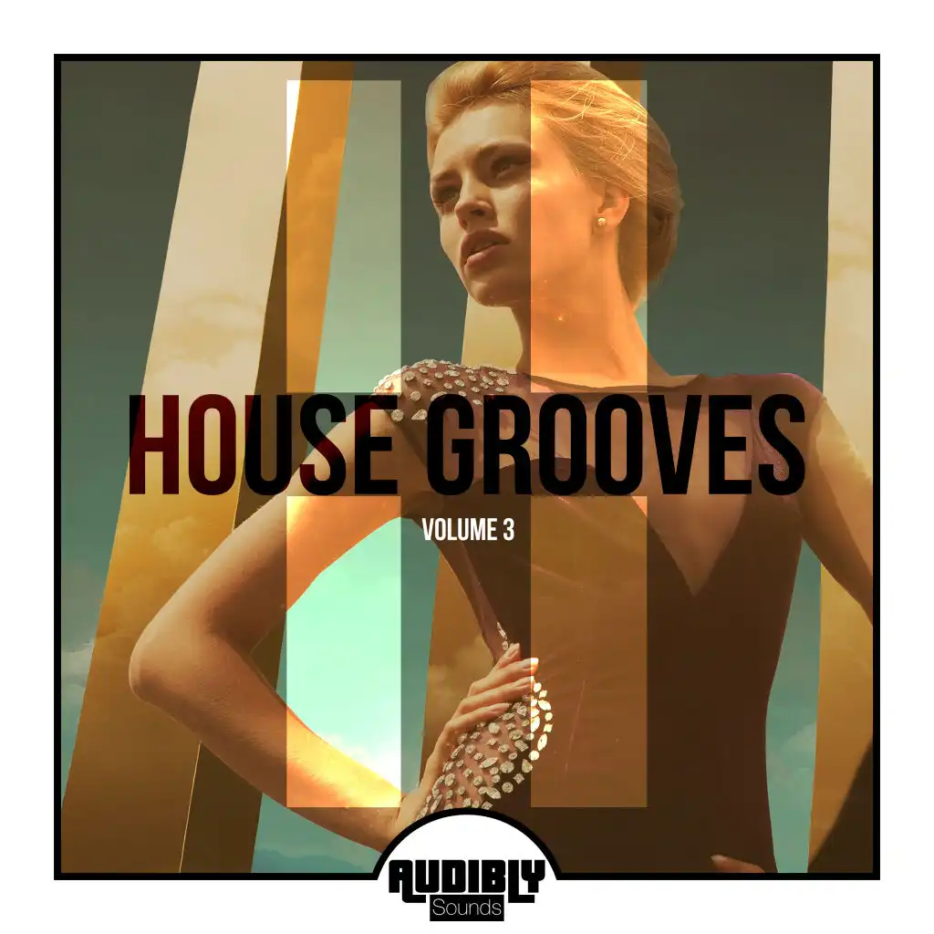 House Grooves, Vol. 3