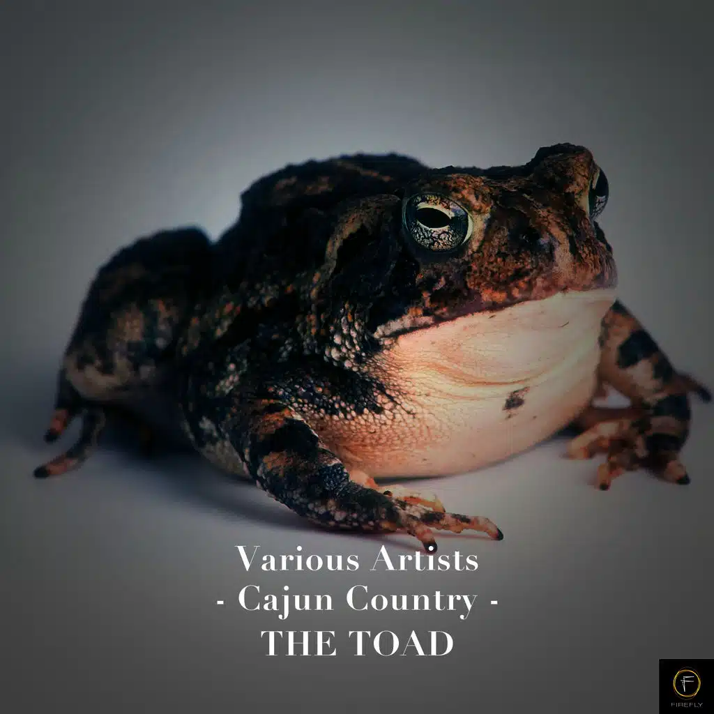 Ma Cherie (My Cherie)