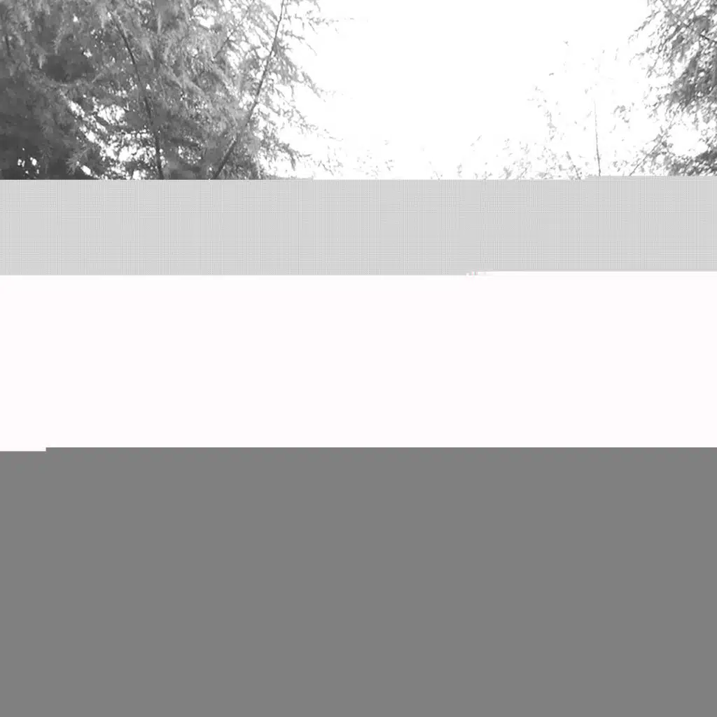 Fast Charge (Music Only)