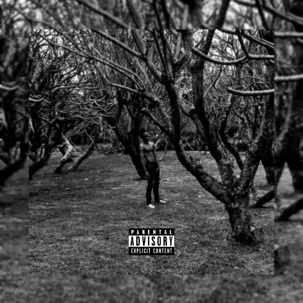 Lost (feat. Blankfrank)