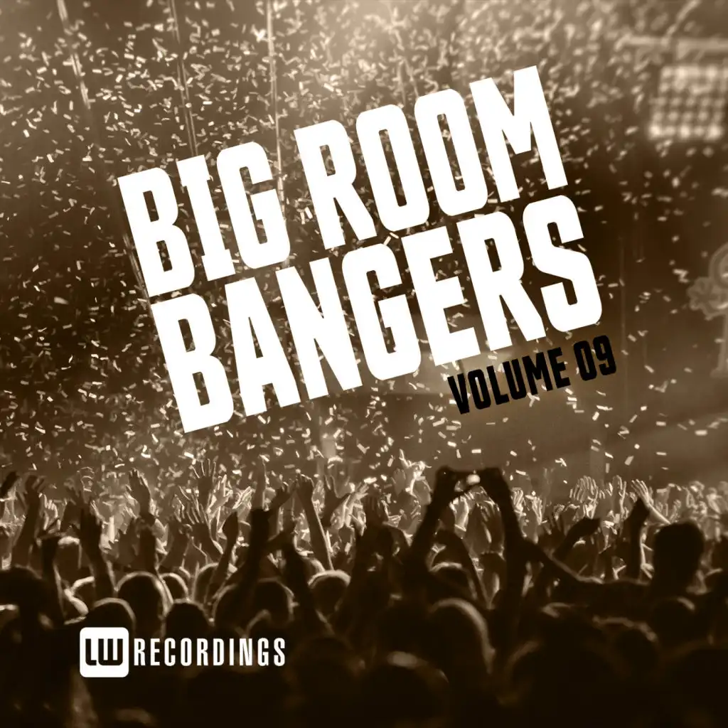 Big Room Bangers, Vol. 09