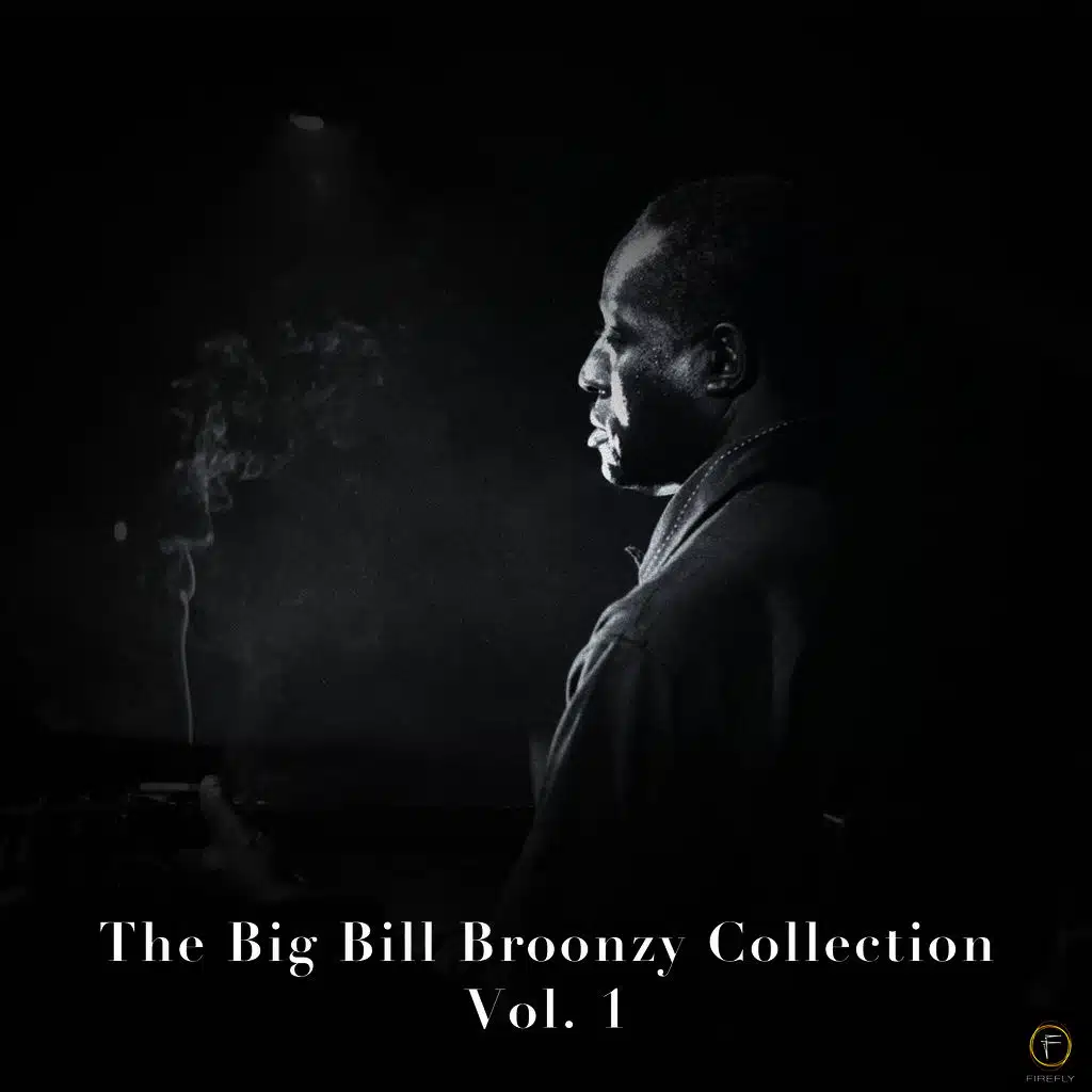The Big Bill Broonzy Collection, Vol. 1