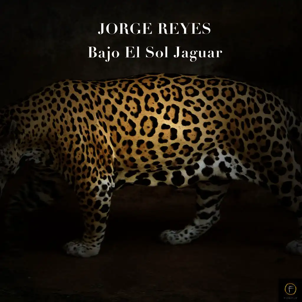 Jorge Reyes, Bajo el Sol Jaguar