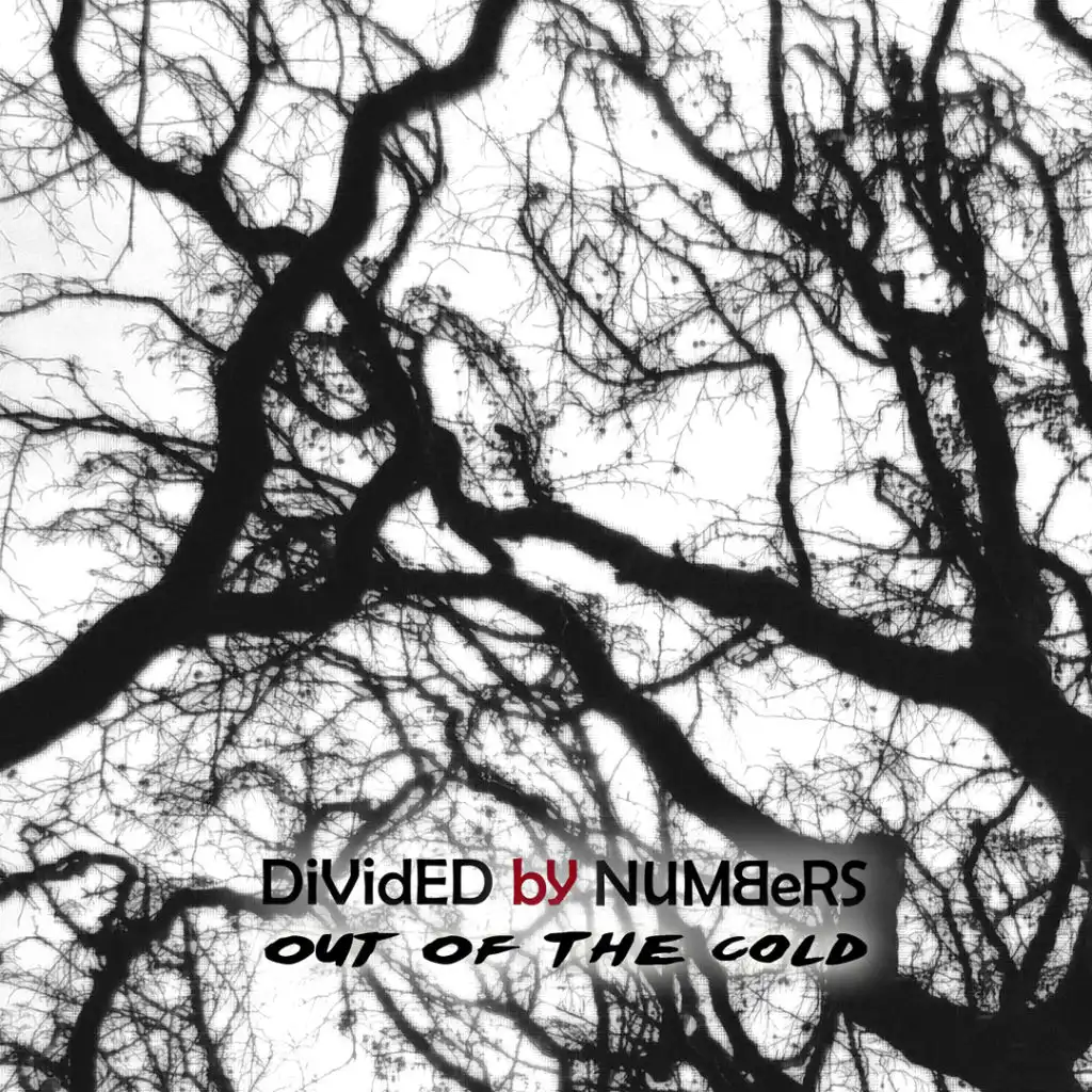 Divided By Numbers