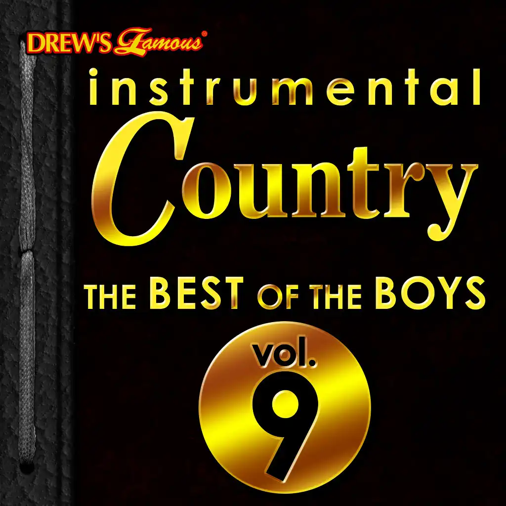 Instrumental Country: The Best of the Boys, Vol. 9