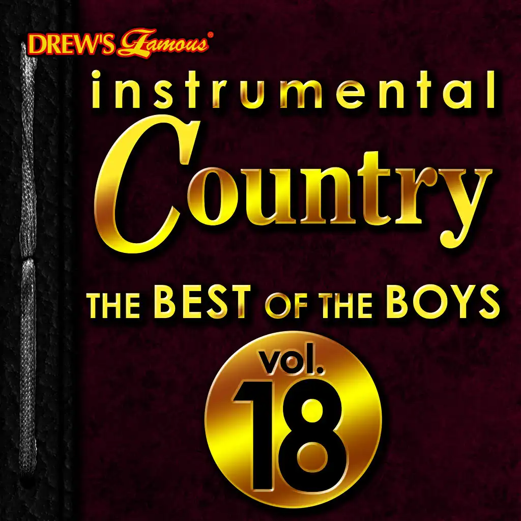 Instrumental Country: The Best of the Boys, Vol. 18