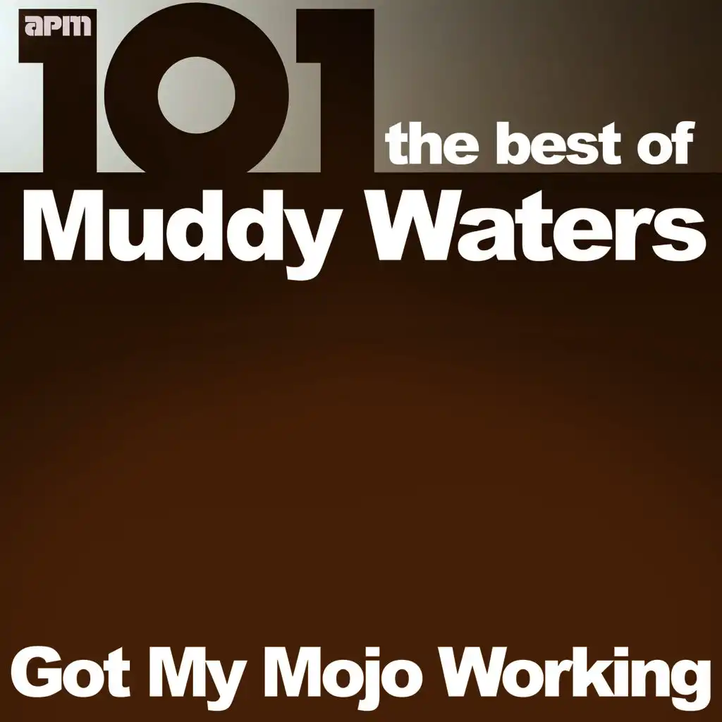 101 - Got My Mojo Working - The Best of Muddy Waters