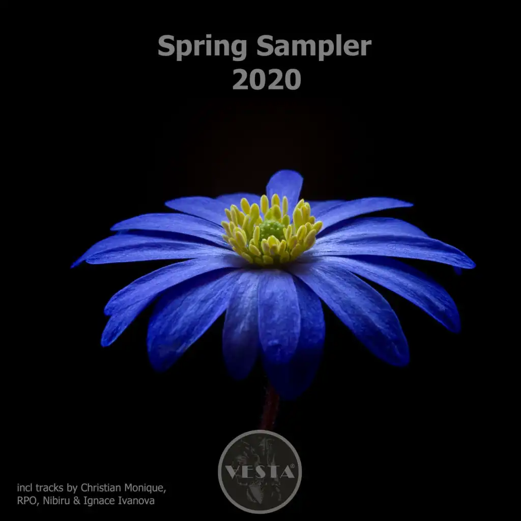 Spring Sampler 2020