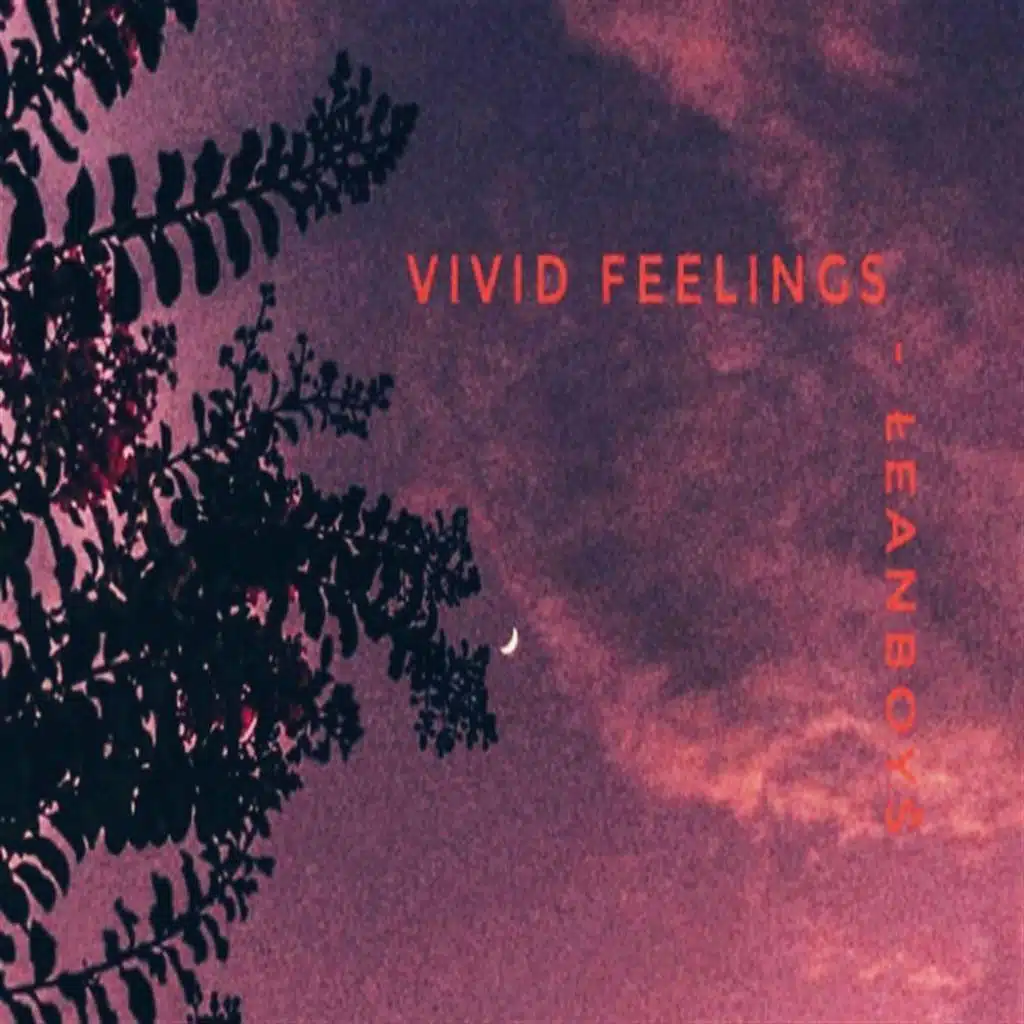 Vivid feelings