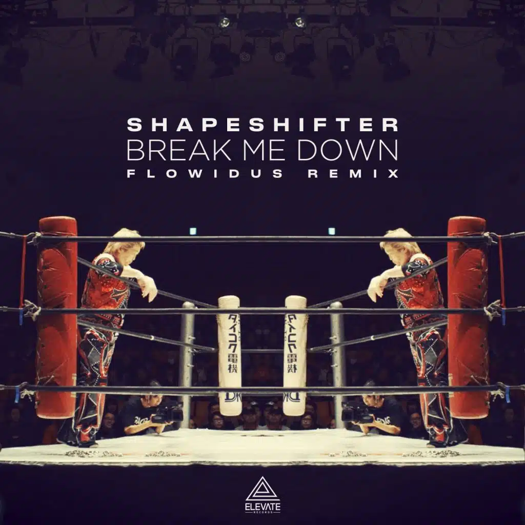 Break Me Down (Flowidus Remix)