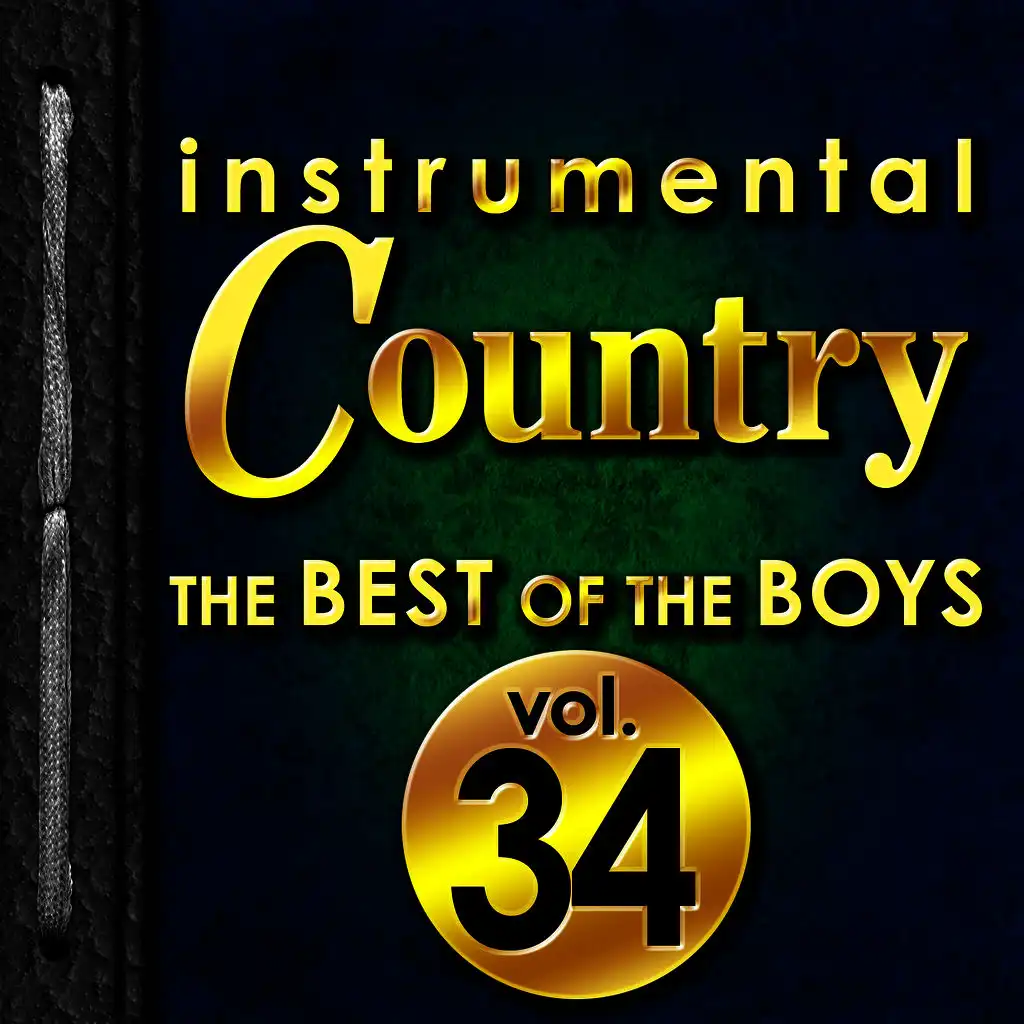 Instrumental Country: The Best of the Boys, Vol. 34