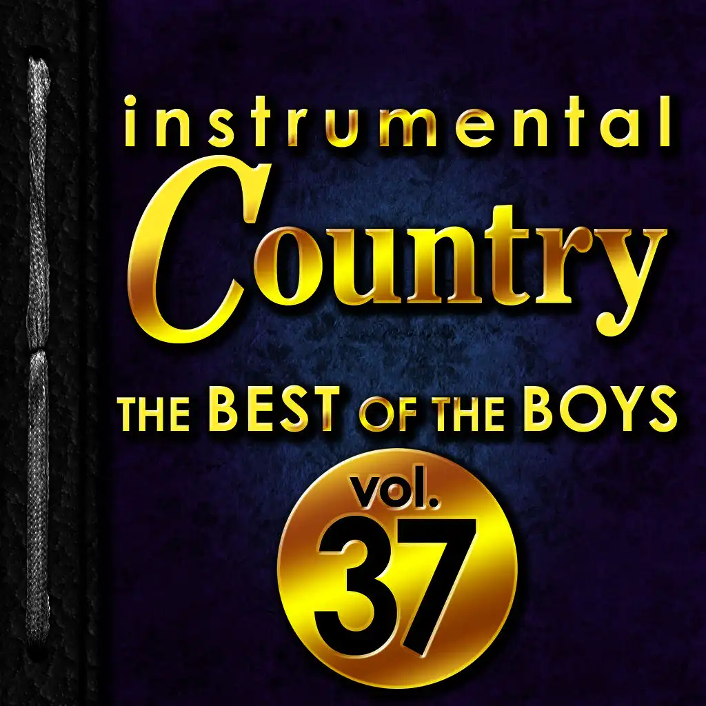 Instrumental Country: The Best of the Boys, Vol. 37