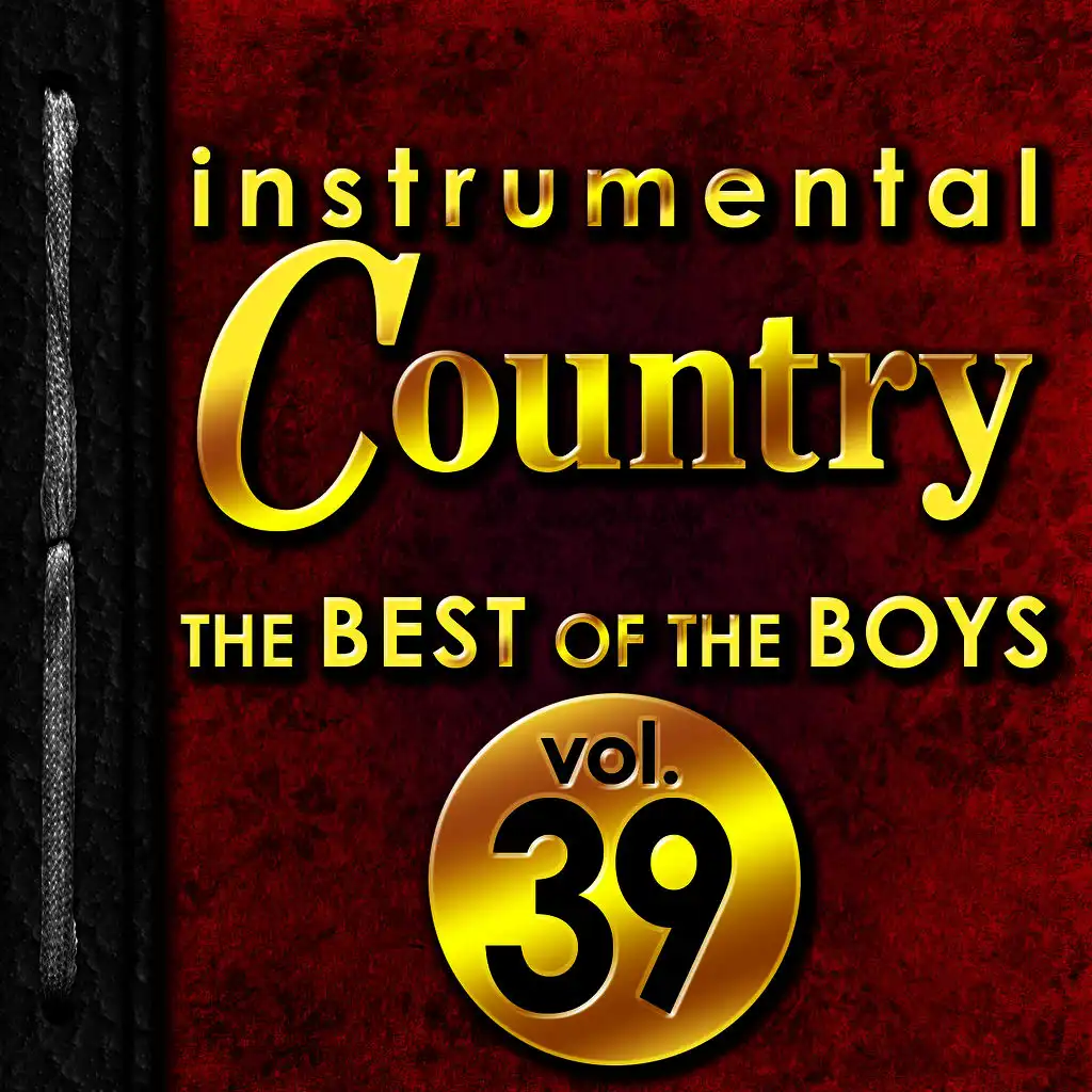 Instrumental Country: The Best of the Boys, Vol. 39