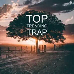 Top Trending Trap