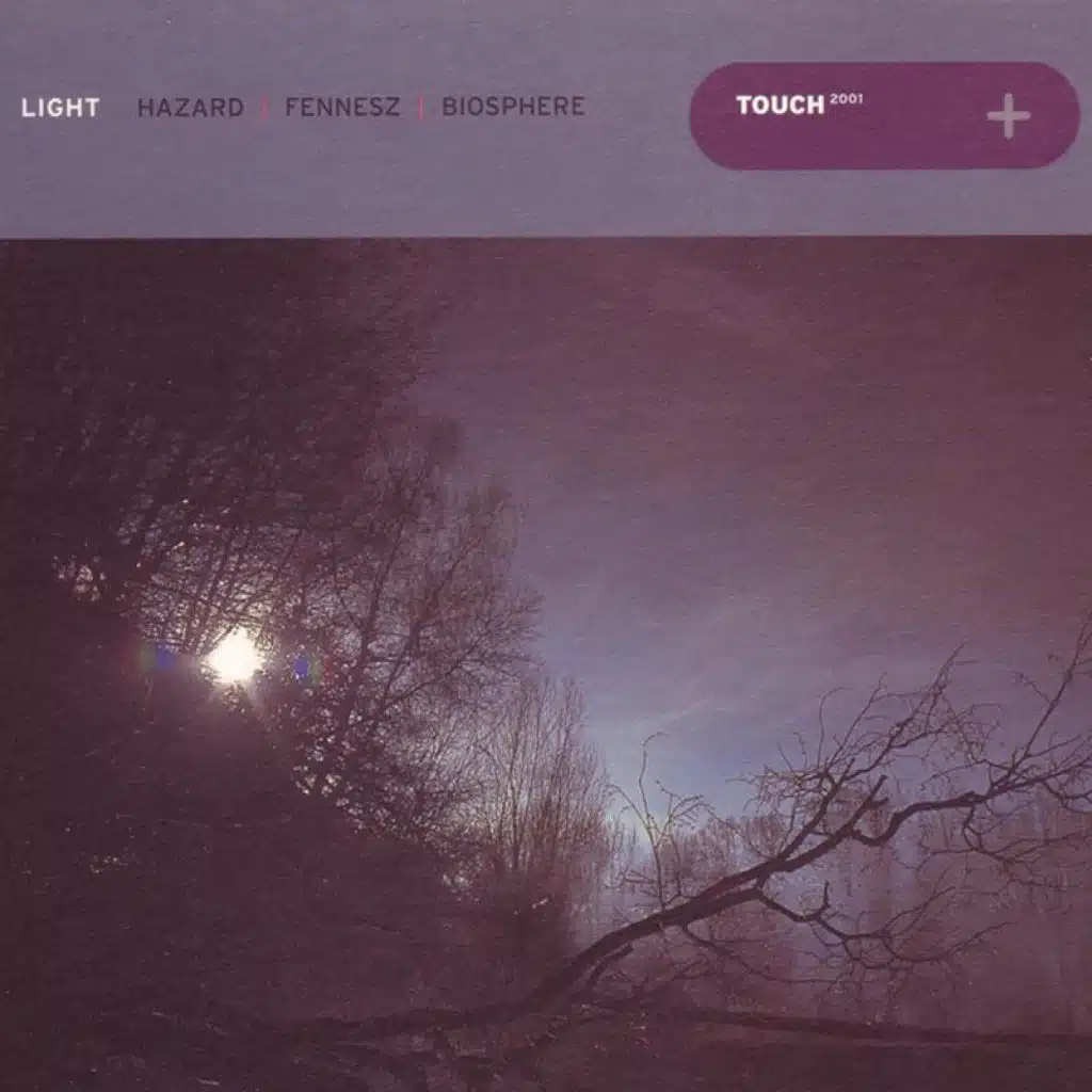 Algae + Fungi (Candelaria Version)