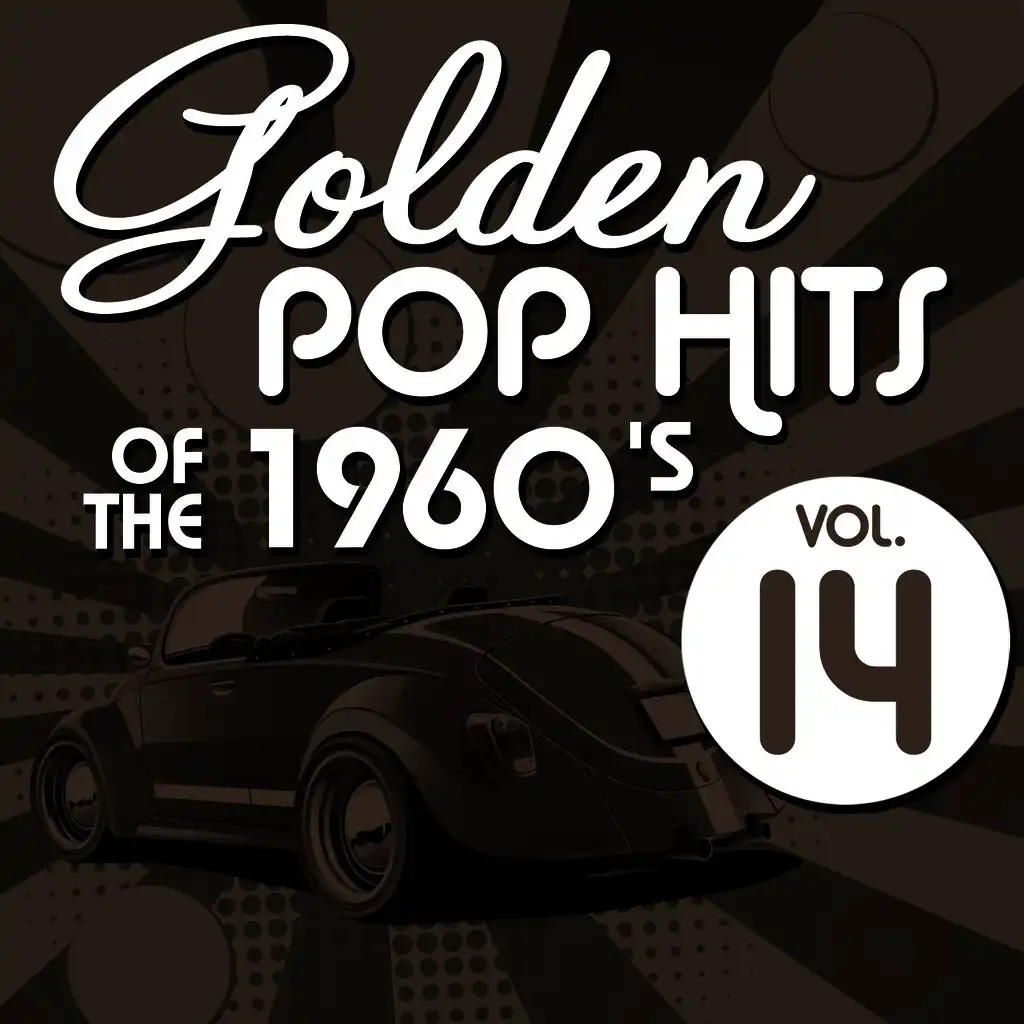 Golden Pop Hits of the 1960's, Vol. 14