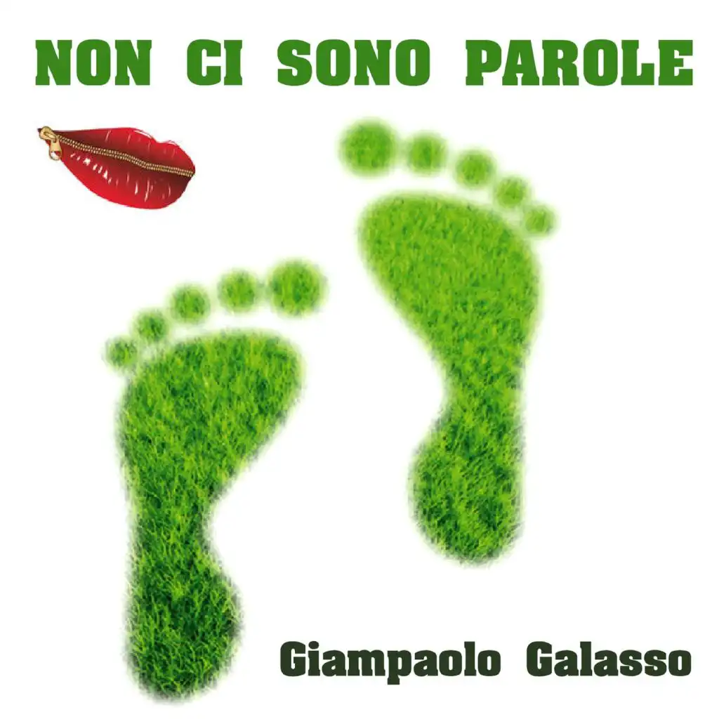 Non Ci Sono Parole (Karaoke Version)