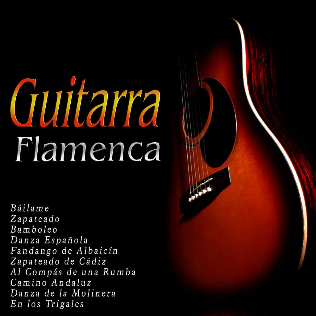 Guitarra Flamenca