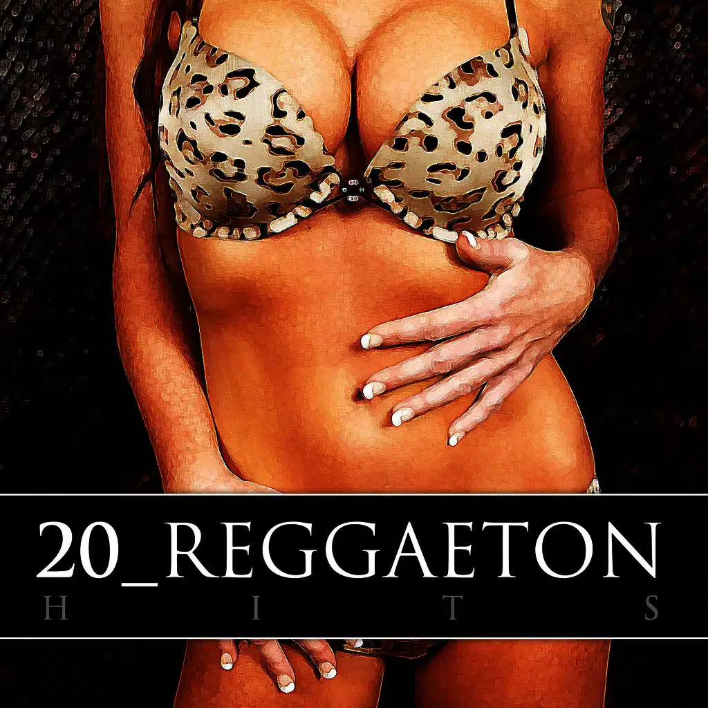 20 Reggaeton Hits