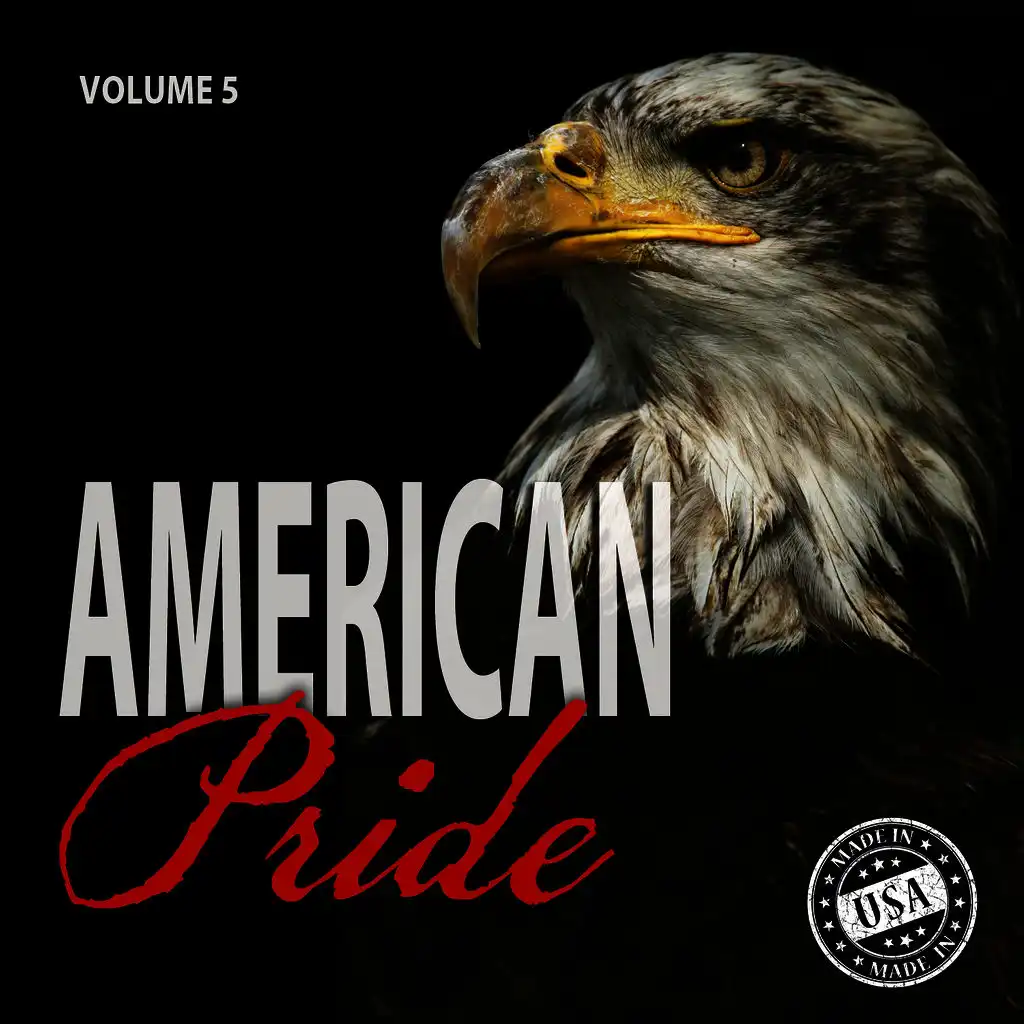 American Pride, Vol. 5