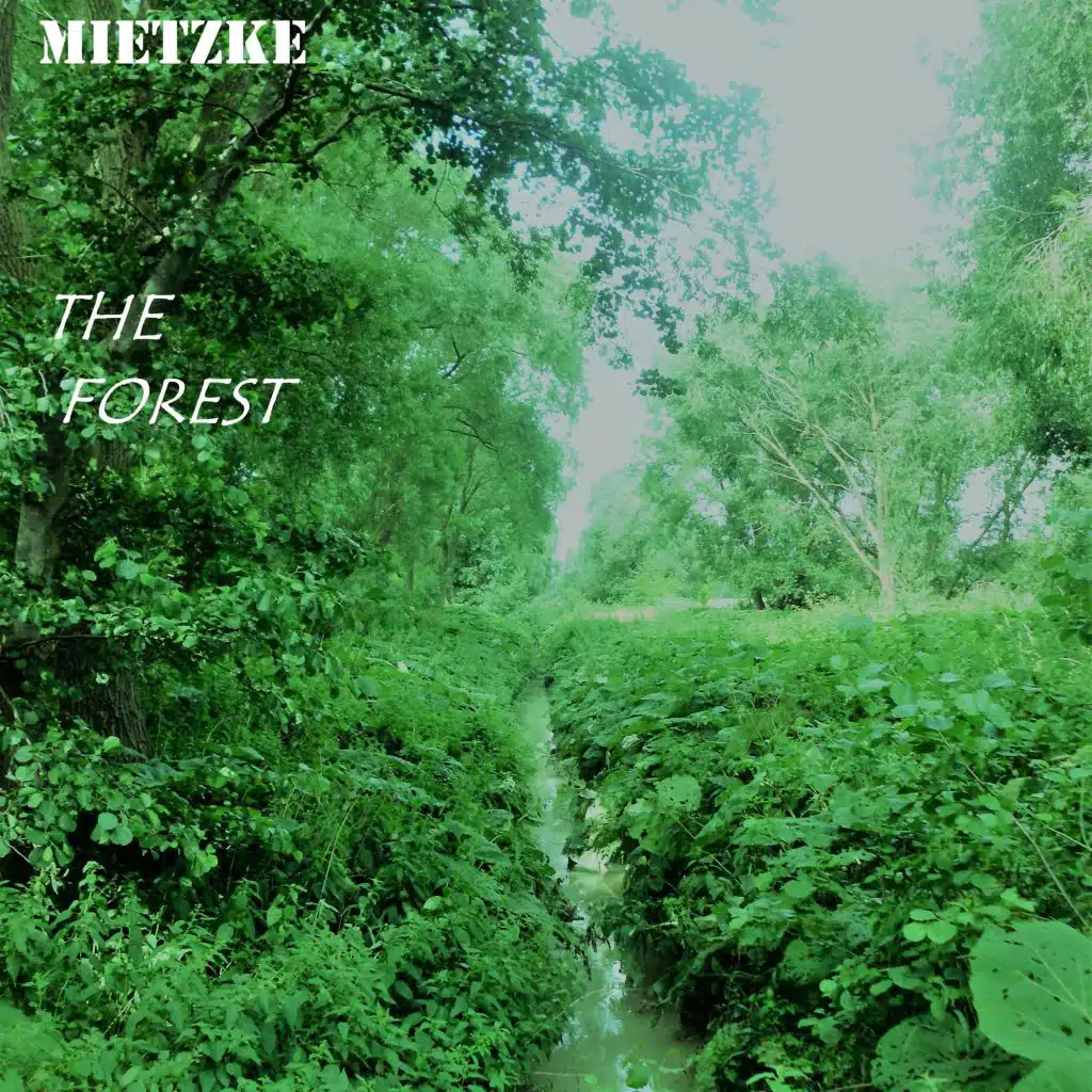 The Forest