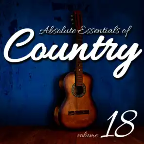 Absolute Essentials of Country, Vol. 18