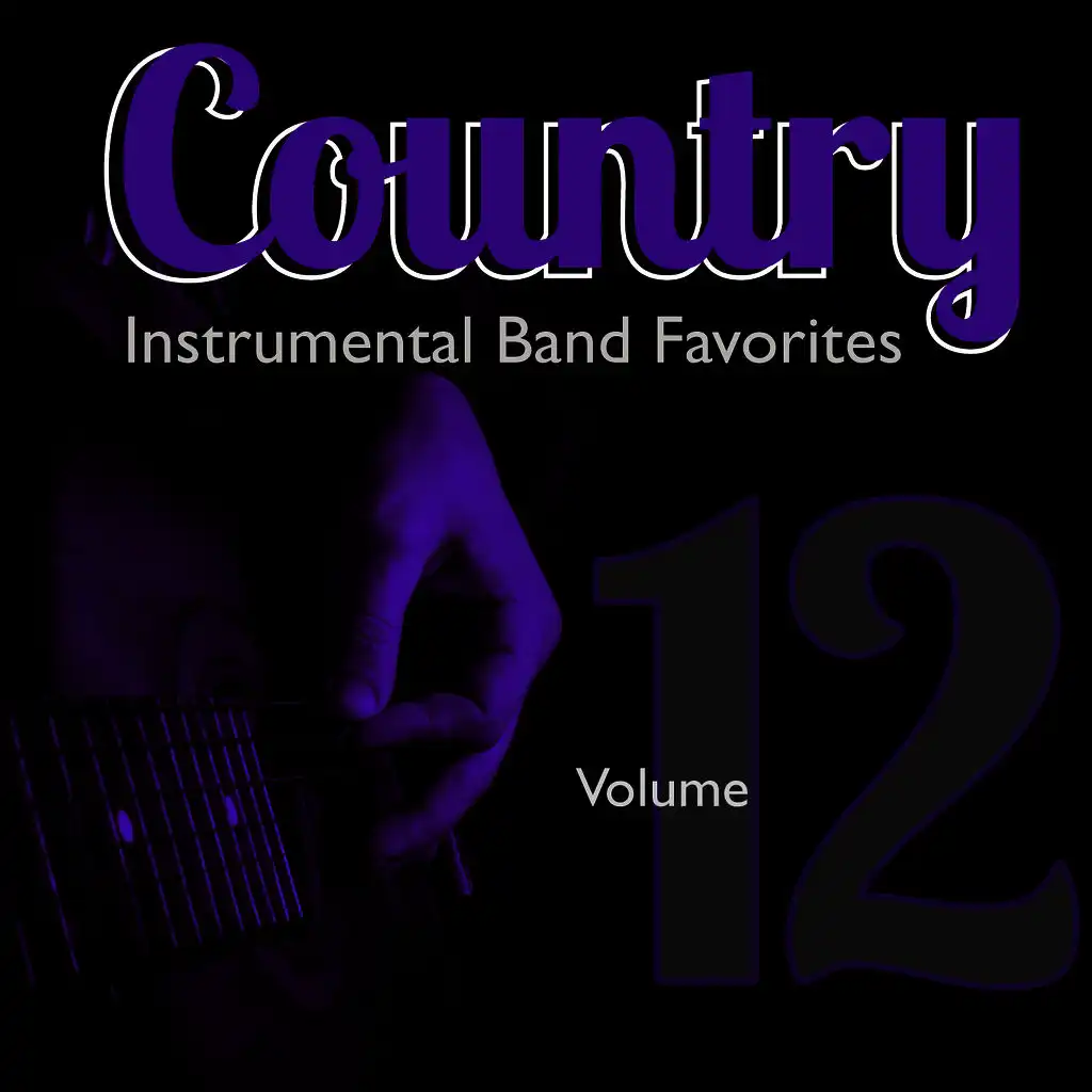 Country Instrumental Band Favorites, Vol. 12