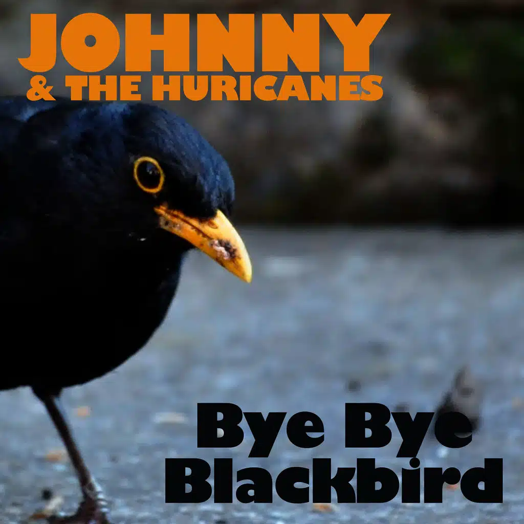 Bye Bye Blackbird