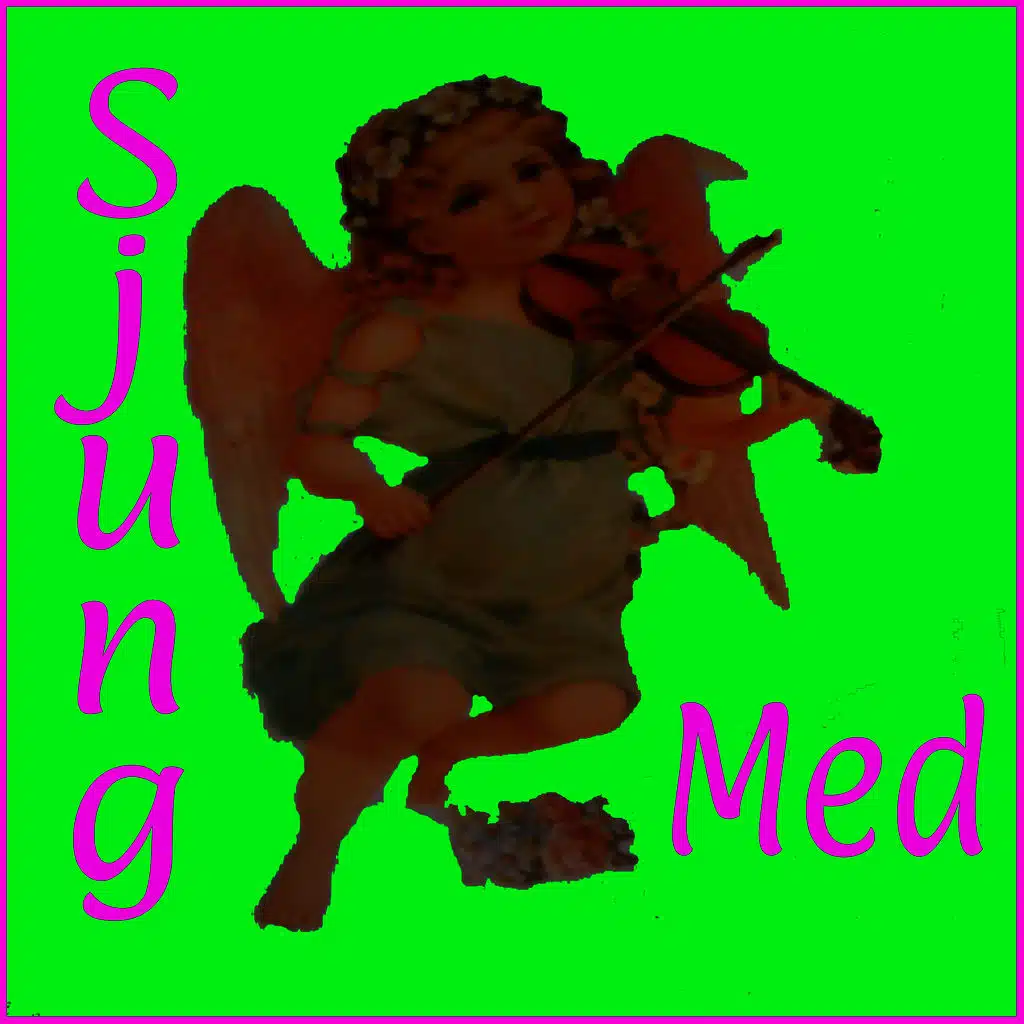 Sjung med
