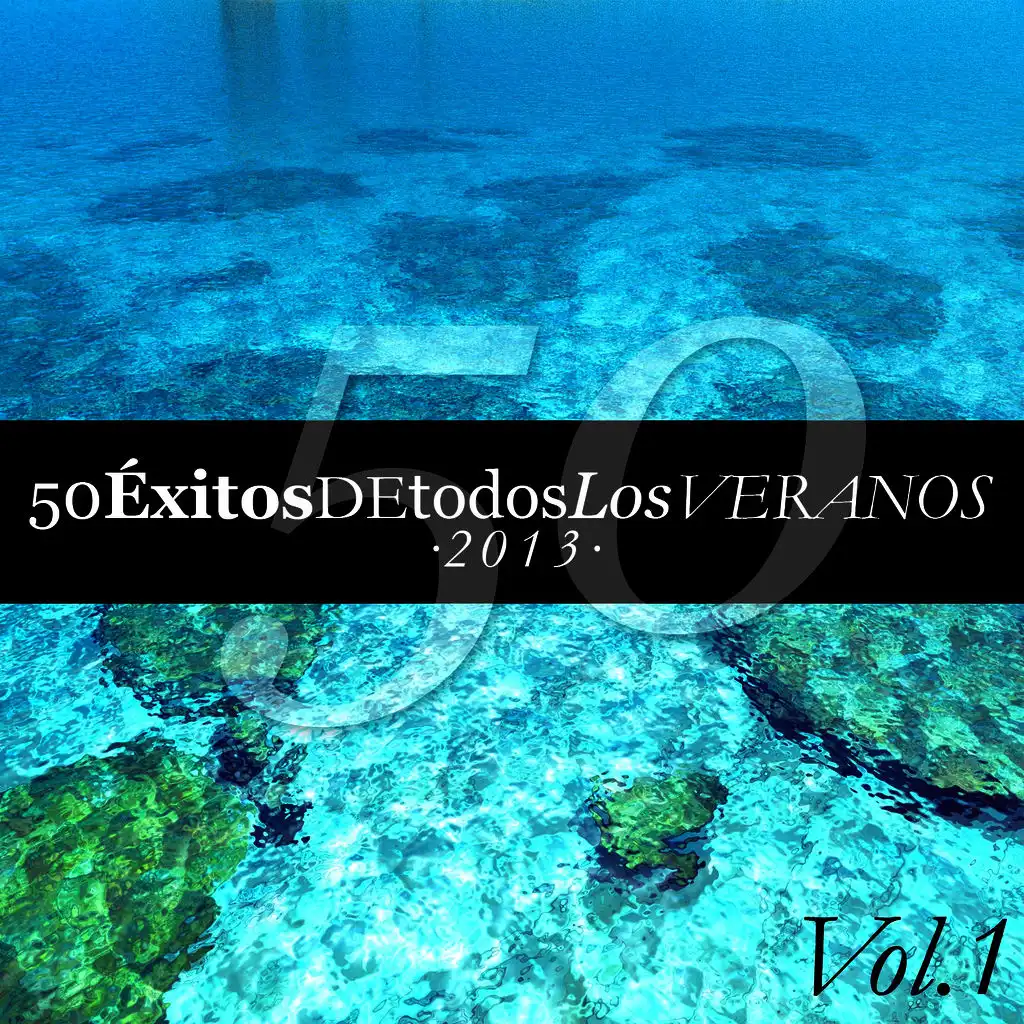 50 Éxitos de Todos los Veranos 2013 Vol. 1