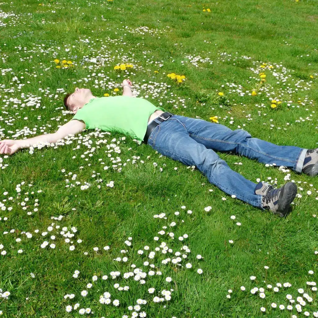 Sleeping Baby Sounds of Blue White and Violet Noises