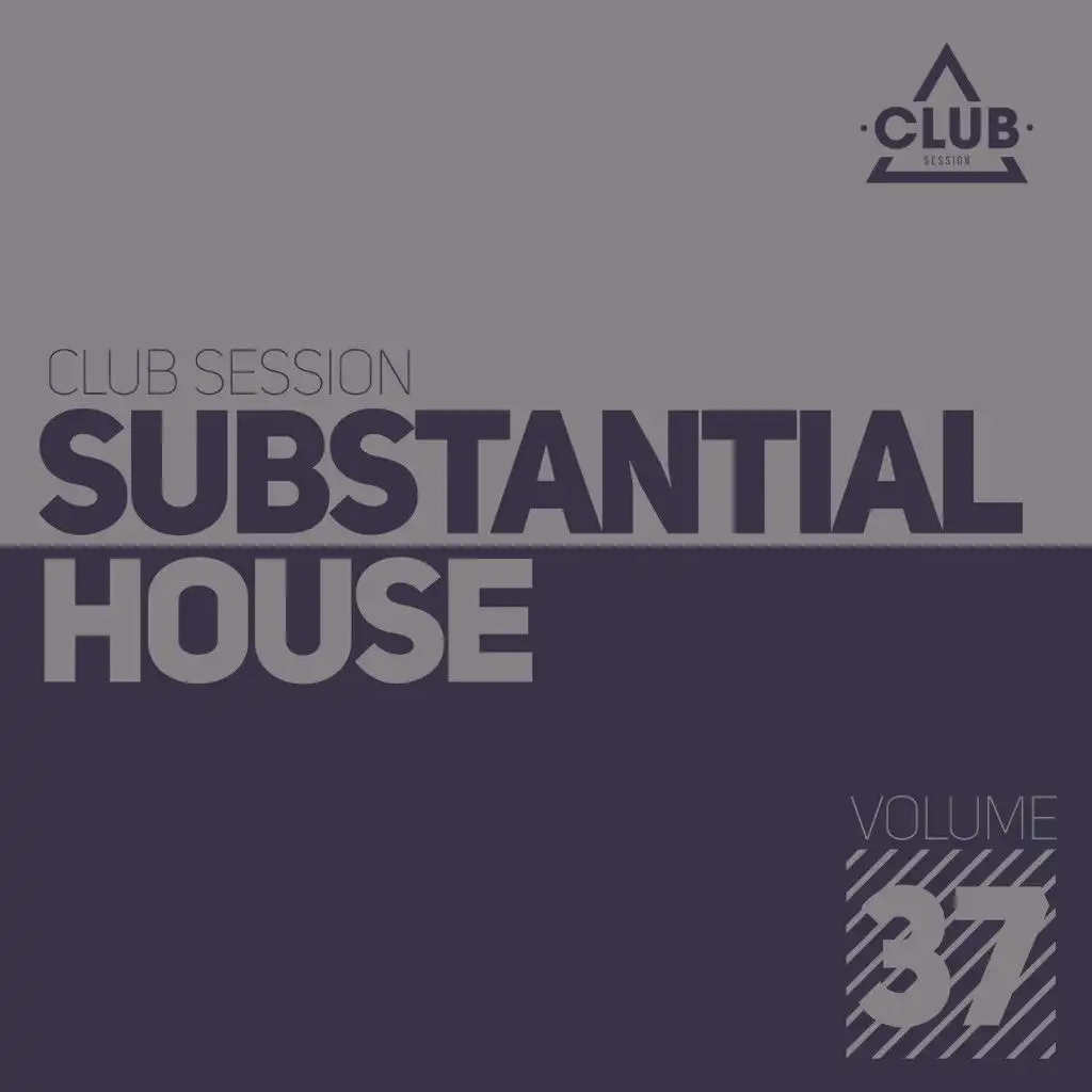 Substantial House, Vol. 37
