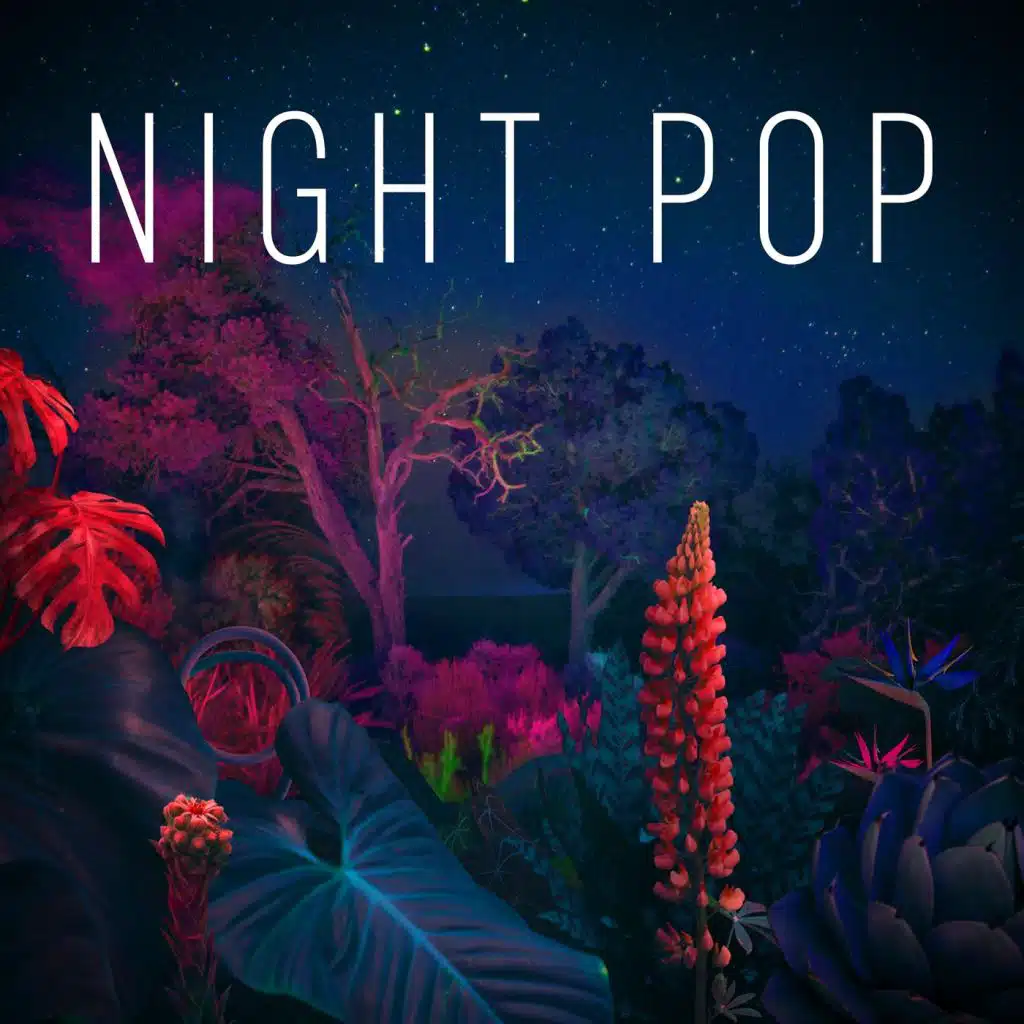 Night Pop