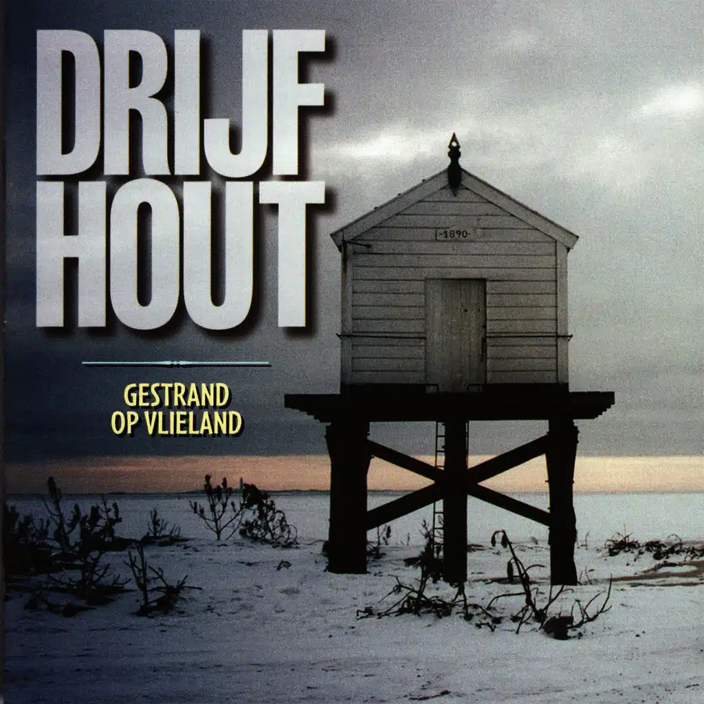 Gestrand Op Vlieland