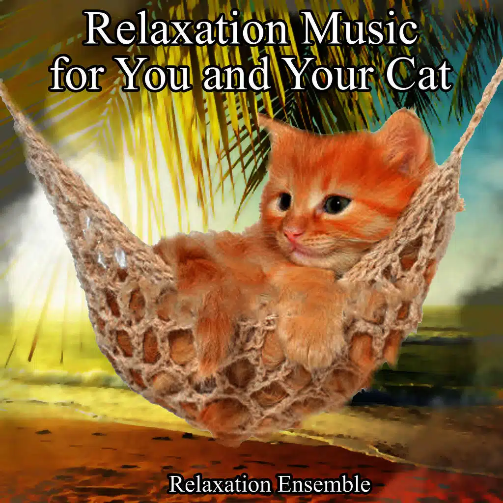Relaxation Music for You and Your Cat
