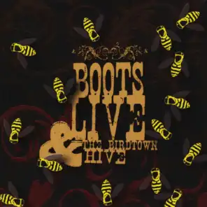 Boots Live and the Birdtown Hive