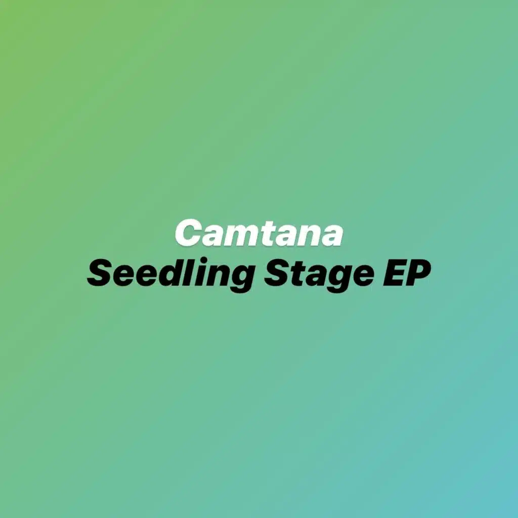 Seedling Stage
