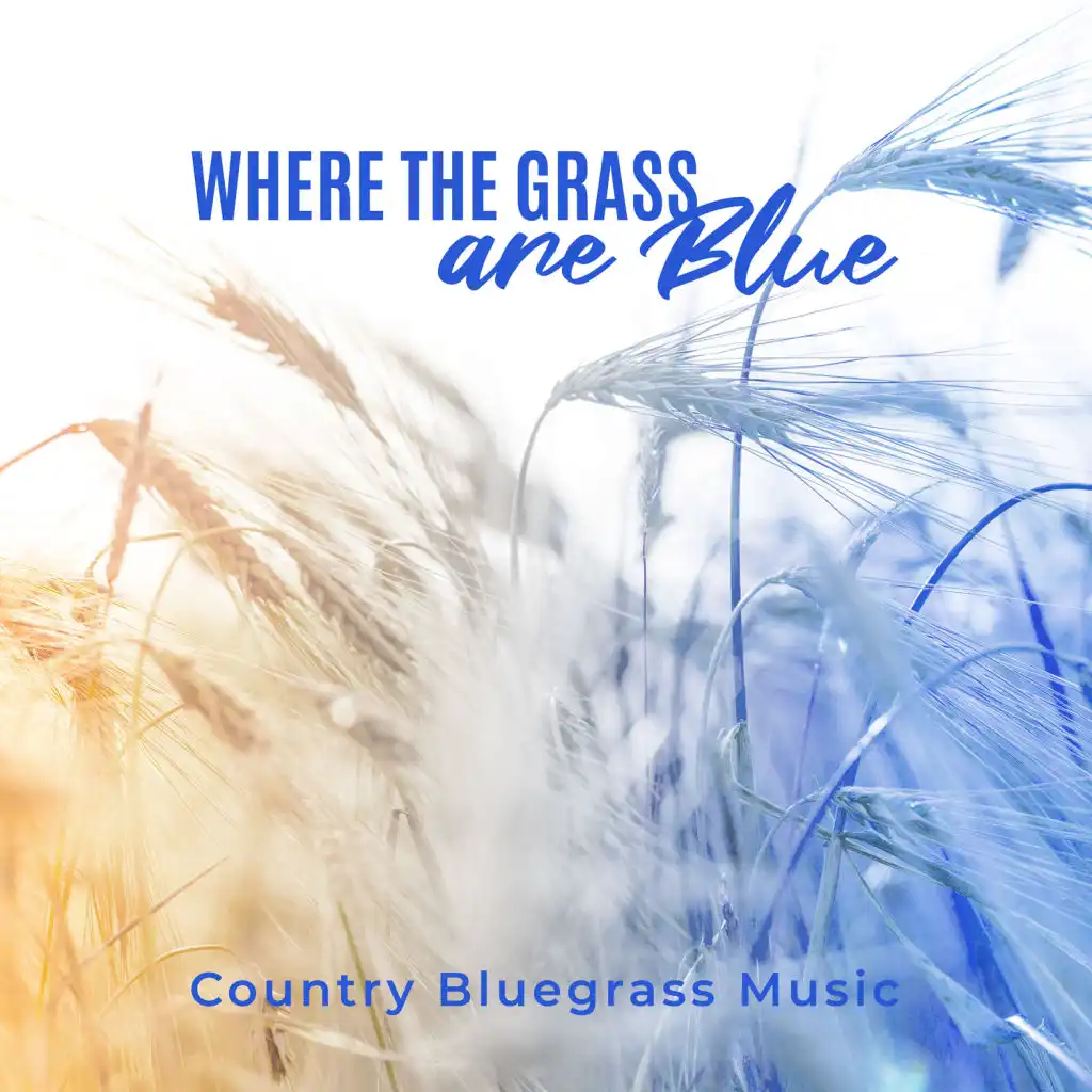 Where the Grass Are Blue - Country Bluegrass Music