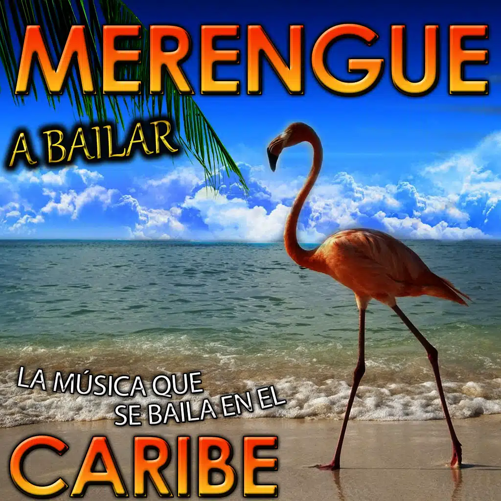 Gipsy Rumba Latina Band