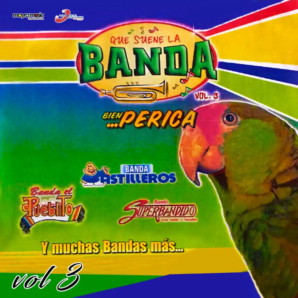 Que Suene La Banda Bien Perica, Volumen 3
