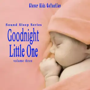 Sound Sleep Series: Goodnight Little One (Clever Kids Collection), Vol. 3