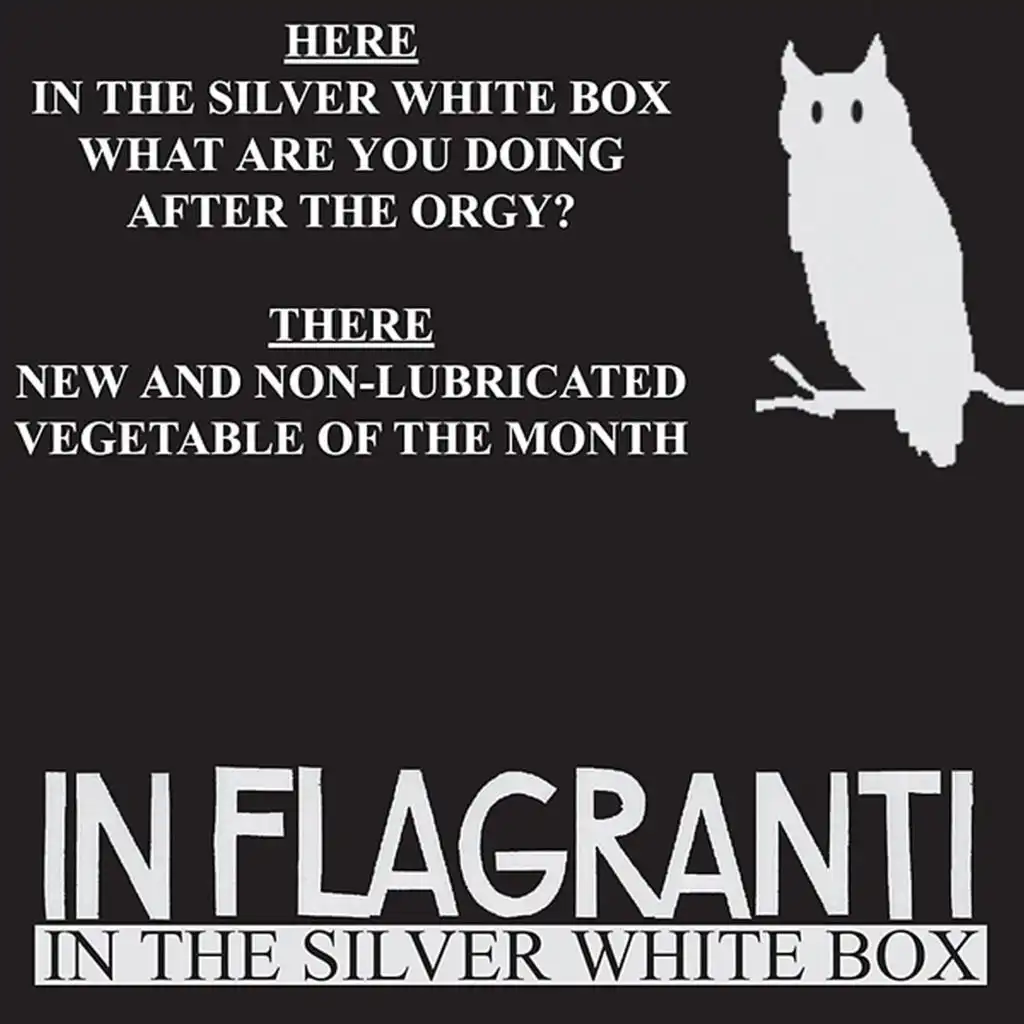 In the Silver White Box