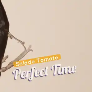 Perfect Time (Nusisco Mix)