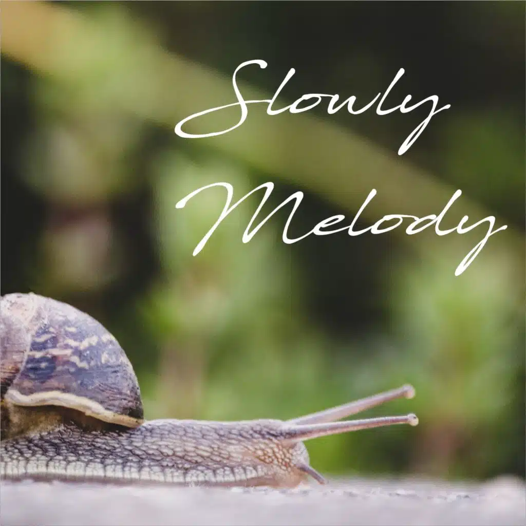 Slowly Melody (feat. Fabrizio Pendesini & Filos)